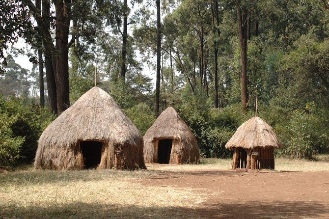 Half-Day Cultural Tour to Bomas of Kenya in Nairobi - Why Bomas of Kenya works as a first cultural stop