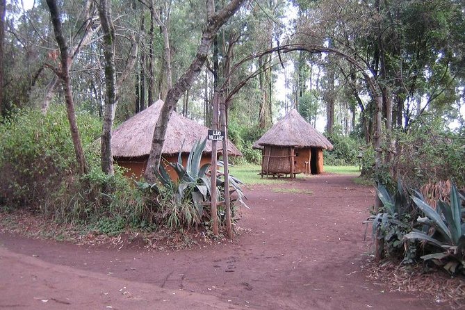 Half-Day Cultural Tour to Bomas of Kenya in Nairobi - What to bring and how to use your time