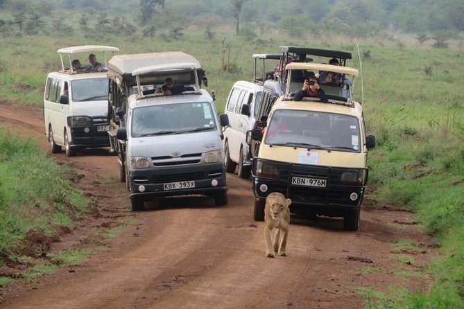 Half-Day Nairobi National Park Safari from Nairobi with Free Pickup - The van and the bumpy-road question