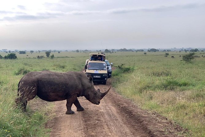 Half-Day Nairobi National Park Safari from Nairobi with Free Pickup - Starting from Nairobi with hotel pickup