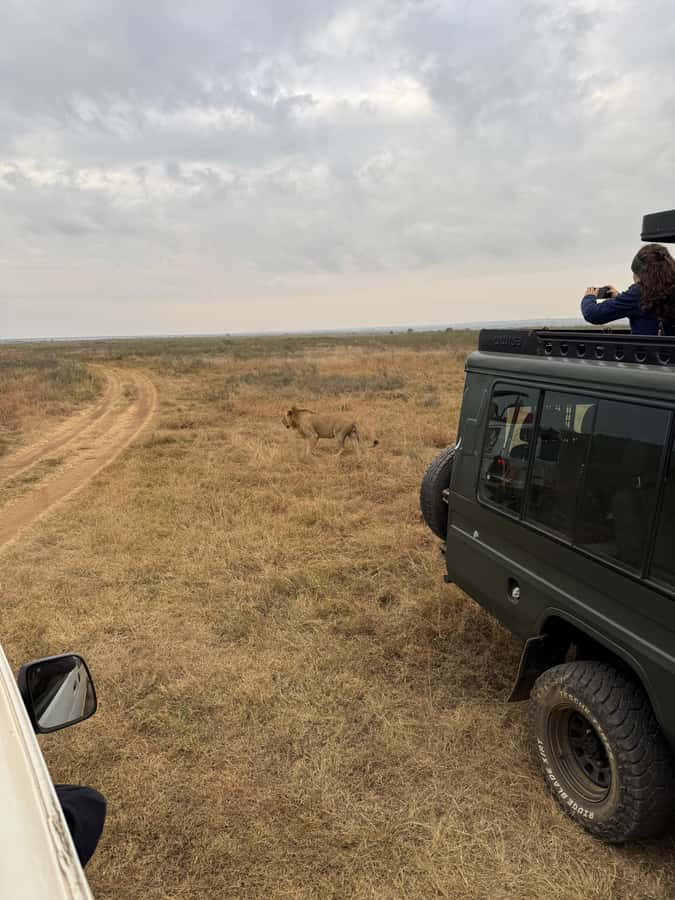 Half day Nairobi National Park with free pick up - Key points to know before booking