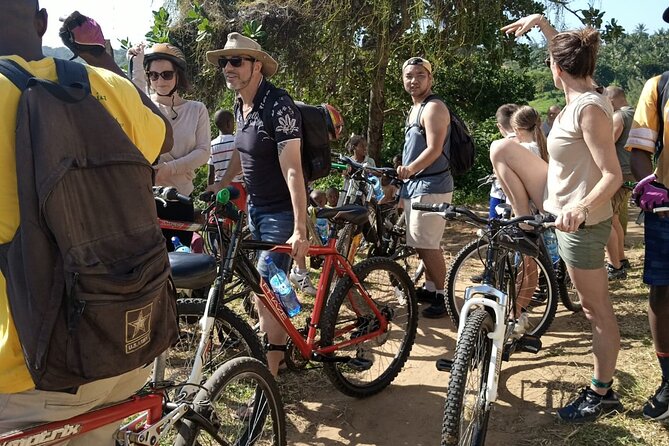 Half-Day Scenic Bike Tour - Rating, price, and overall value