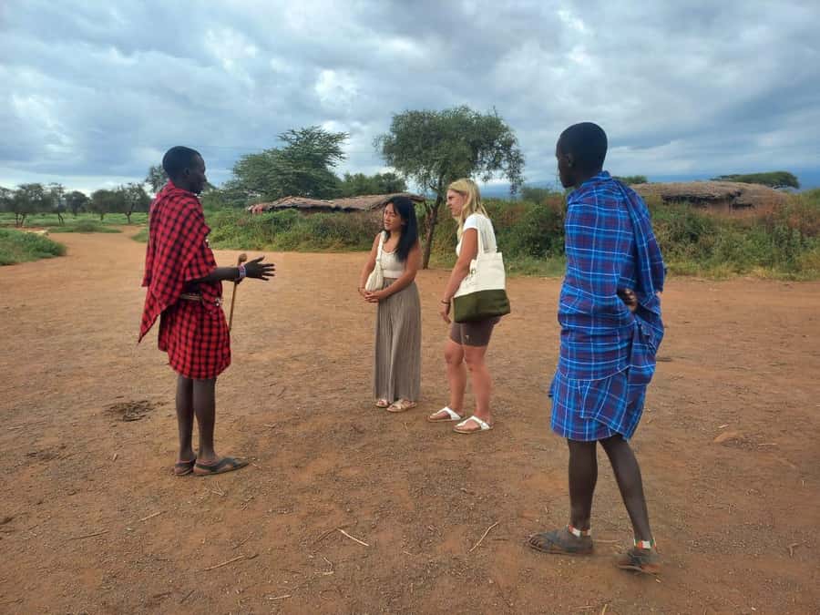 HALF DAY TOUR MASAI VILLAGE FROM NAIROBI WITH PICKUP&DROPOFF - Seeing cattle at the center of daily life