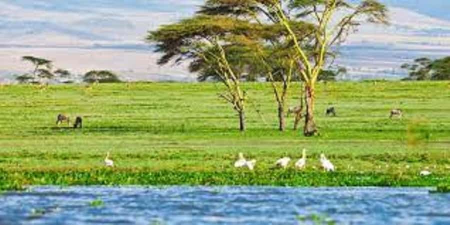 HELL'S GATE AND LAKE NAIVASHA BOAT RIDE FROM NAIROBI. - Who will enjoy this day most