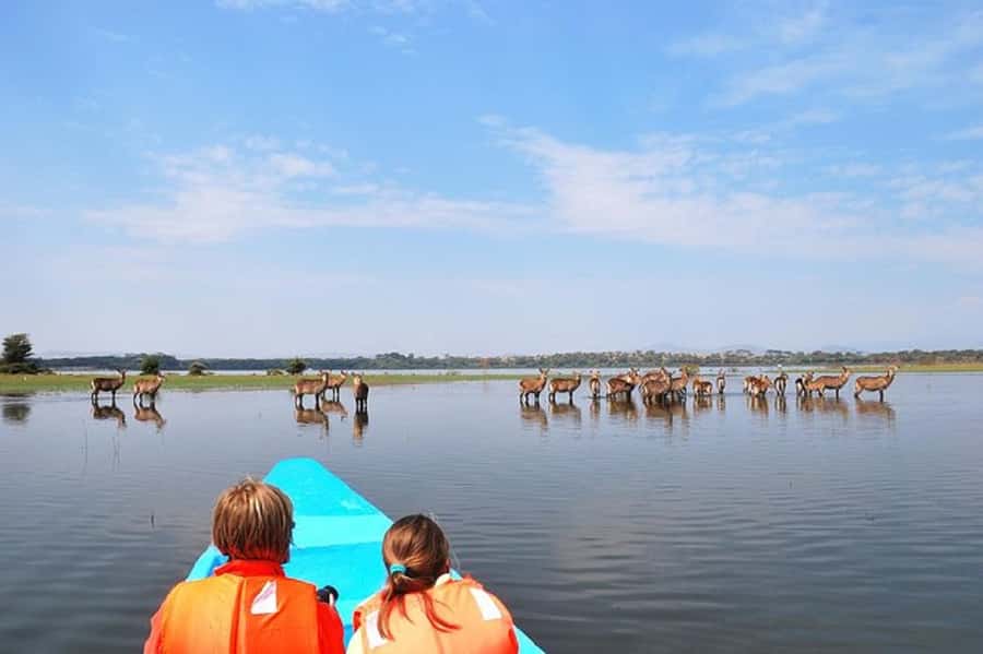 HELL'S GATE AND LAKE NAIVASHA BOAT RIDE FROM NAIROBI. - The Great Rift Valley viewpoint in 30 minutes