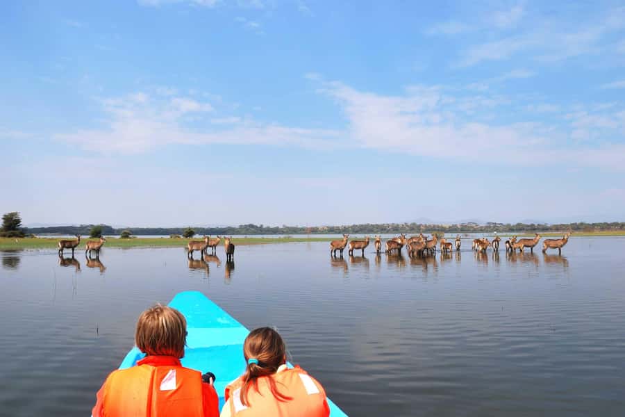 Hell's Gate and Lake Naivasha Guided Day Trip - Key points to know before booking