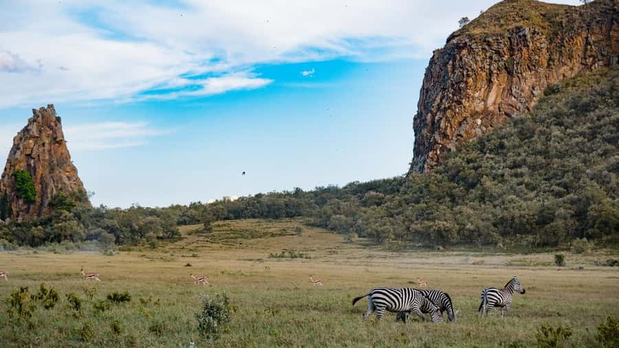 Hell's Gate & Lake Naivasha: Bike Tour, Hike & Boat Ride - Cycling Across the Park With Zebra Nearby