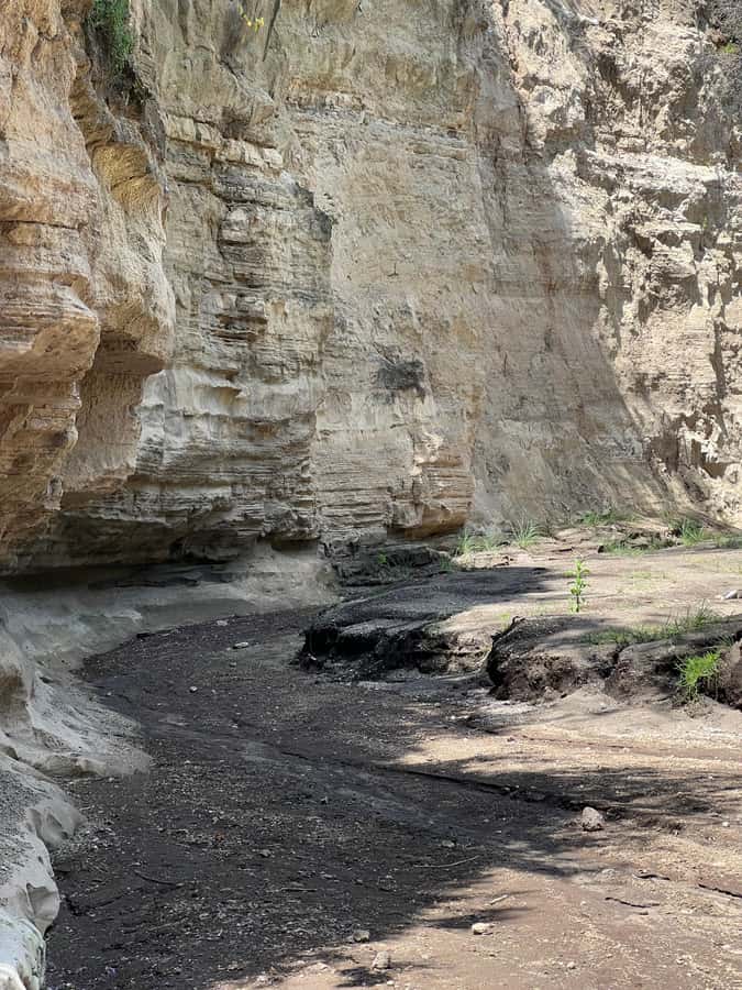 Hell's Gate & Lake Naivasha: Bike Tour, Hike & Boat Ride - Lake Naivasha, Hippos, and More Than 400 Bird Species