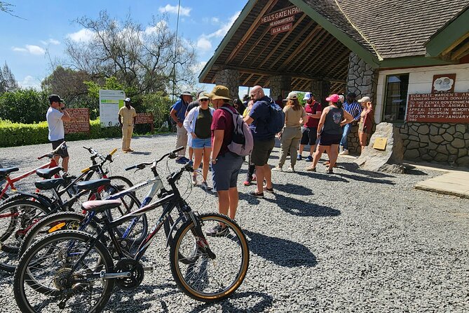 Hell's Gate National Park and Lake Naivasha Private Tour - Walking, geology, and the park’s unusual freedom