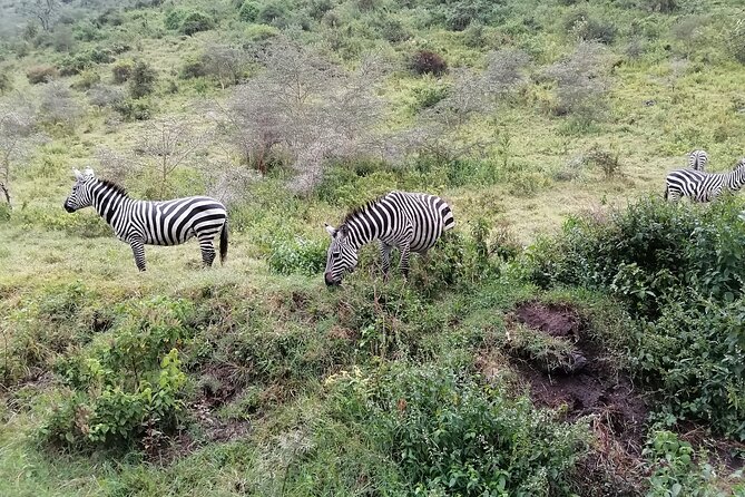 Hell's Gate National Park Private Bike Tour from Nairobi - The optional Lake Naivasha boat ride