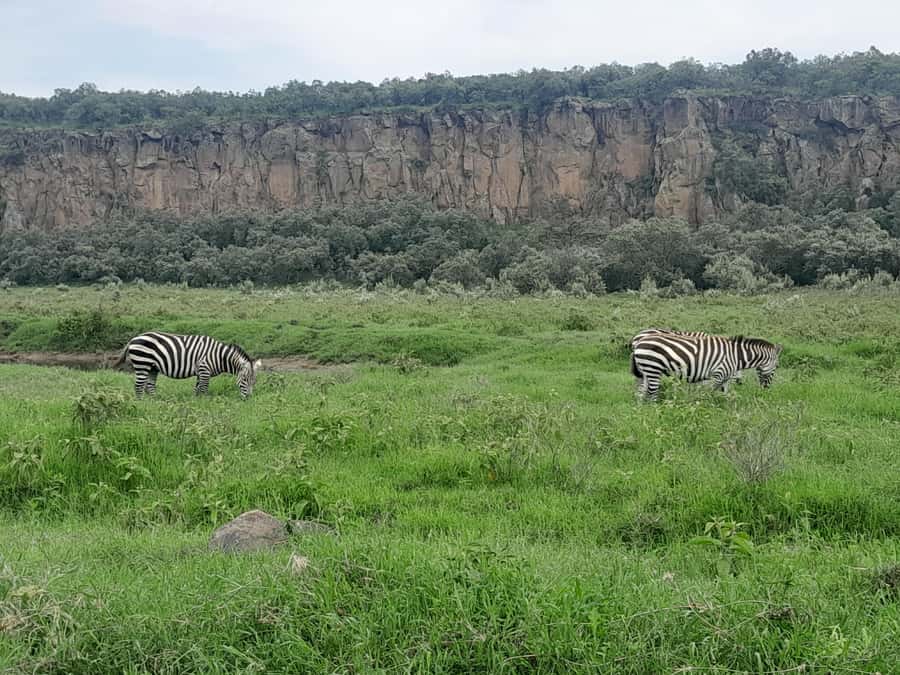 Hells Gate National Park and Lake Naivasha Day Tour - Cycling among wildlife at Hell’s Gate