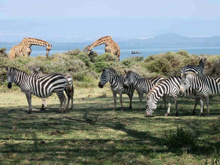 Hellsgate and Lake Naivasha Day Trip from Nairobi - What the $120 price really covers