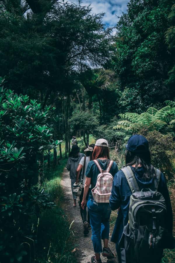 Hike in The Karura Forest - Following the trails through the forest