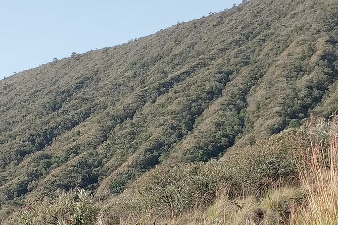 Hiking Trip to Mount Longonot National Park & Lake Naivasha - What the $130 price really covers