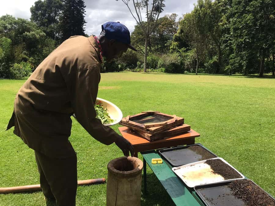 Kaimbethu tea farm tour and lunch package - Key points at a glance