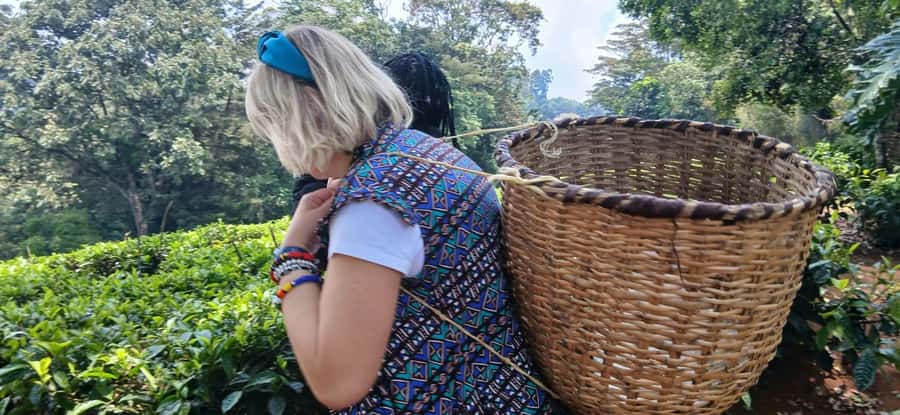 Kaimbethu tea farm tour and lunch package - Walking through tea fields and indigenous forest