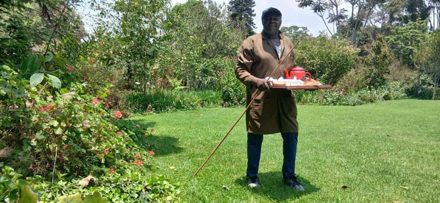Kaimbethu tea farm tour and lunch package - Ngong Hills views and clear-day horizons