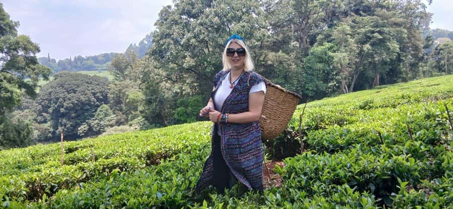Kaimbethu tea farm tour and lunch package - Pickup from Nairobi and the drive to the farm