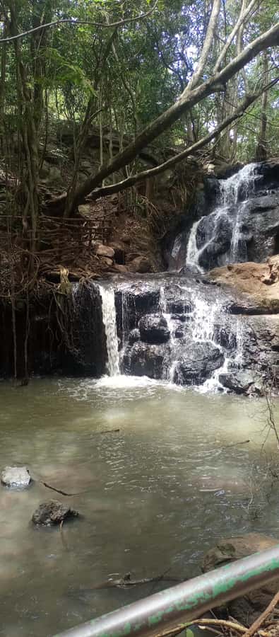 Karura forest: A walking tour into Nairobi's Nature Oasis - Karura Waterfalls and the sound of moving water
