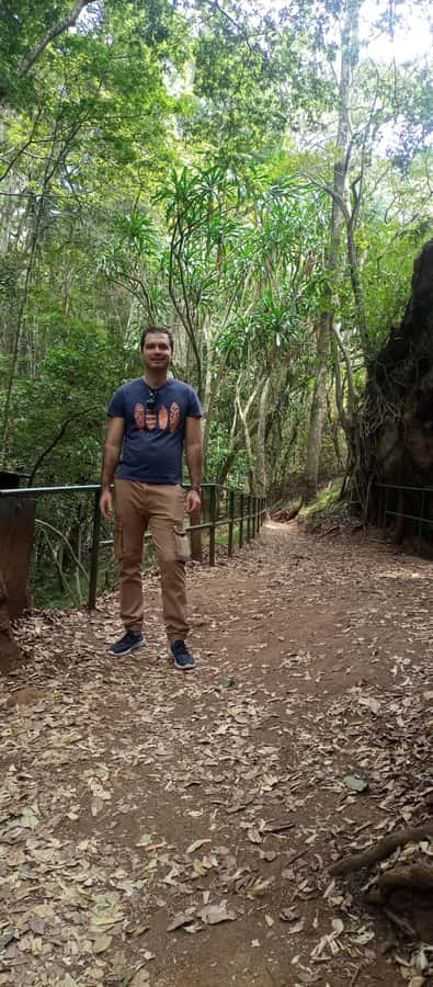 Karura forest: A walking tour into Nairobi's Nature Oasis - Shaded canopy trails with monkeys and birds