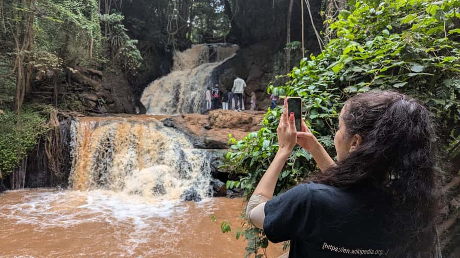 Karura Forest: Walking tour with Nature and Waterfalls. - Who Should Book This Forest Walk