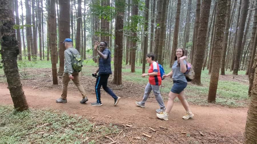 Karura Forest: Walking tour with Nature and Waterfalls. - The Caves: A Place With More Than Scenic Value