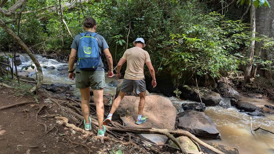 Karura Forest: Walking tour with Nature and Waterfalls. - Lily Lake and the Forest Bird Areas