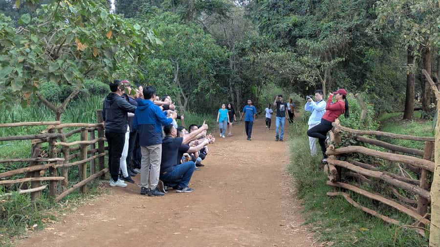 Karura Forest: Walking tour with Nature and Waterfalls. - What the $40 Price Really Covers
