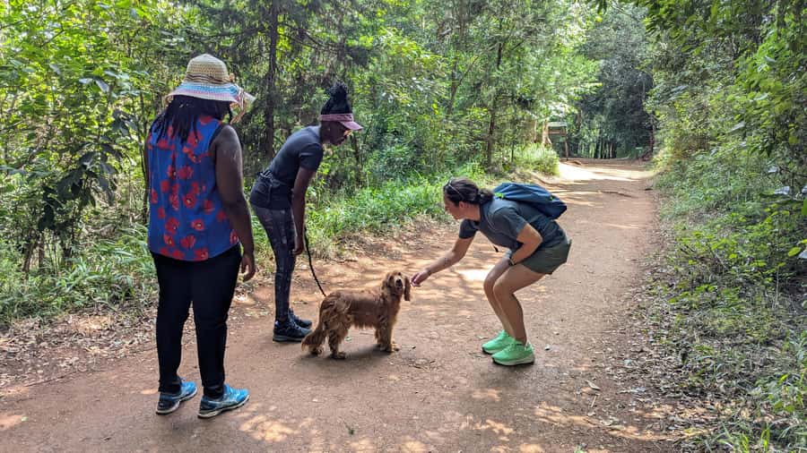 Karura Forest: Walking tour with Nature and Waterfalls. - Woodland Trails, Monkeys, and Local Stories