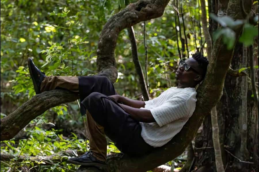 Kaya Kinondo Sacred Forest Guided Tour - Why Kaya Kinondo feels different from a standard nature walk