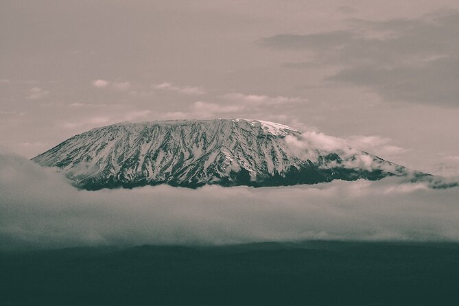 Kilimanjaro Wanderlust Day Hike - A greener side of Kilimanjaro near Oloitokitok