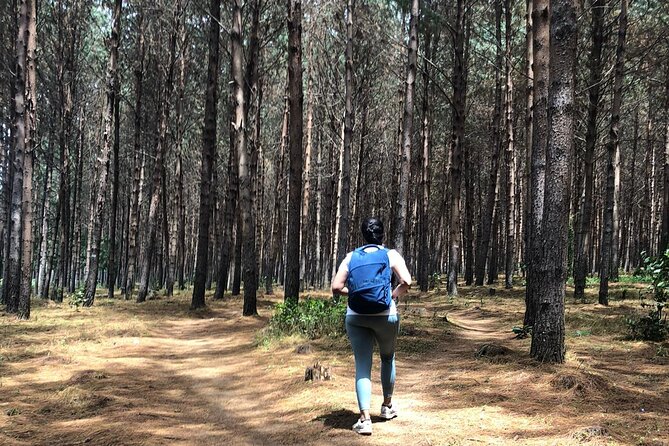 Kilimanjaro Wanderlust Day Hike - Walking the rainforest paths and streams