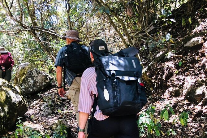 Kilimanjaro Wanderlust Day Hike - Fitness, clothing, and weather planning