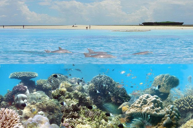 Kisite Marine Park Private Boat Snorkeling with breakfast & Lunch - From Malindi to Shimoni: the day begins on the road