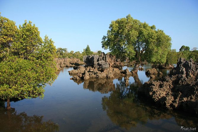Kisite Marine Park Private Boat Snorkeling with breakfast & Lunch - Wasini Island lunch with Swahili flavor