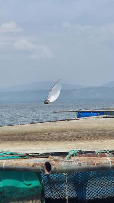 Kisumu Lake Victoria Boat Ride and Hippo Hunt - Who will enjoy this Kisumu boat ride?