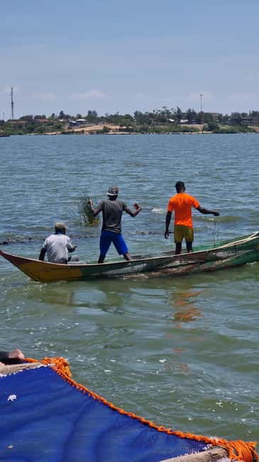 Kisumu Lake Victoria Boat Ride and Hippo Hunt - Birdwatching along the Dunga wetland