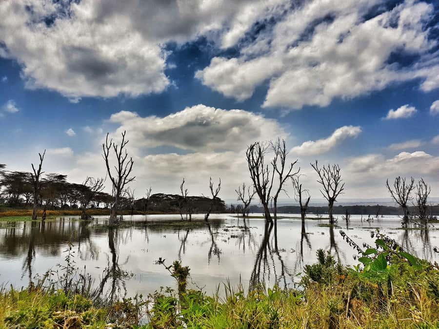 Lake Naivasha: Crescent Island Game Sanctuary - The transport deserves careful consideration