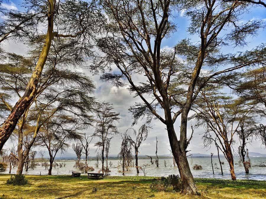 Lake Naivasha: Crescent Island Game Sanctuary - Who will enjoy this trip most?