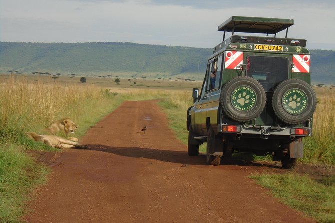 Lake Nakuru, Naivasha & Masai Mara 4 Days Private Jeep Safari - Why this Kenya safari works in four days