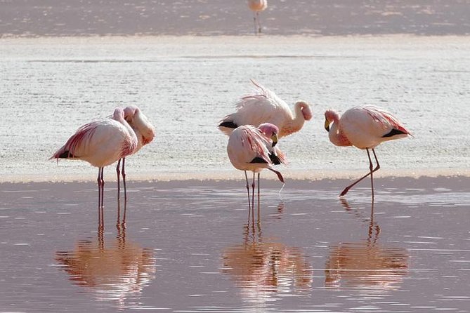 Lake Nakuru, Naivasha & Masai Mara 4 Days Private Jeep Safari - Day four: Returning to Nairobi by road