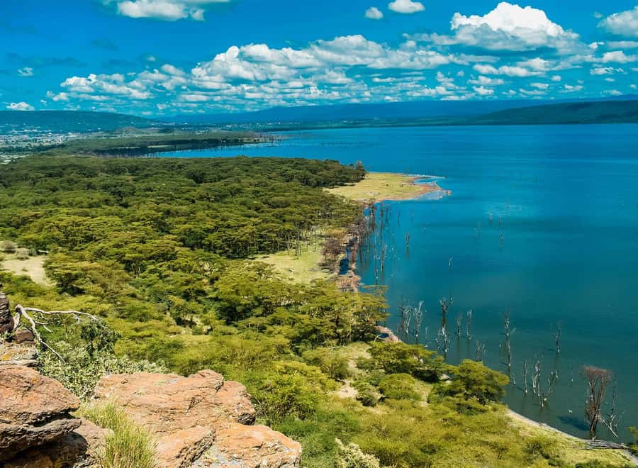 Lake Nakuru National Park: Daytrip in a 4X4 Private Jeep - Key points at a glance