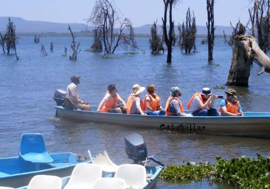 Lakes Nakuru& Naivasha National Park Wildlife Highlights - Who should book this outing