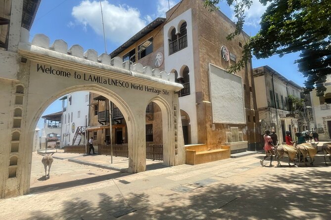 Lamu Old Town Walking Tour - Starting at Lamu Town Square