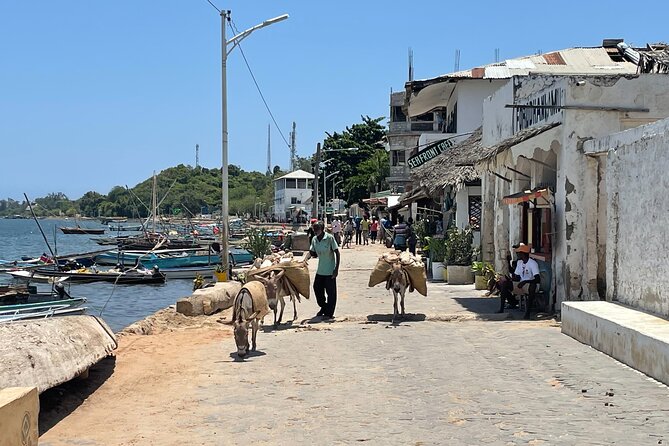 Lamu Old Town Walking Tour - Lamu Market and the town square