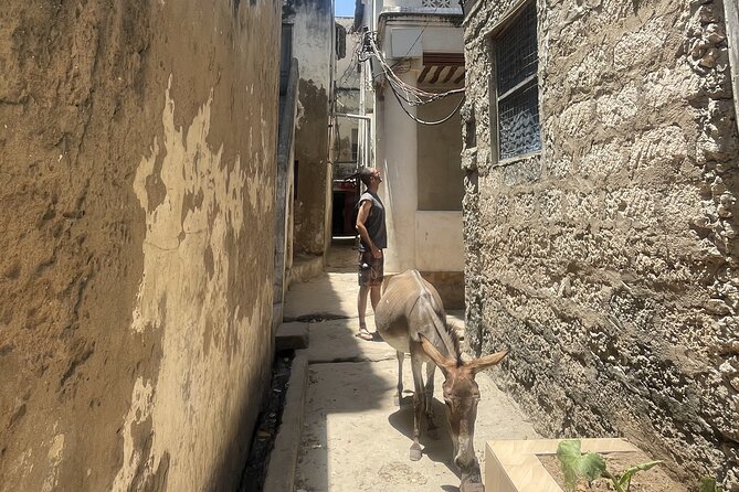 Lamu Old Town Walking Tour - Swahili music and the Lamu seafront