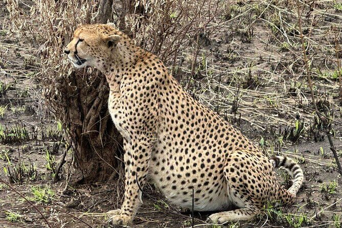 Maasai Mara Day Trip - The Great Rift Valley stop