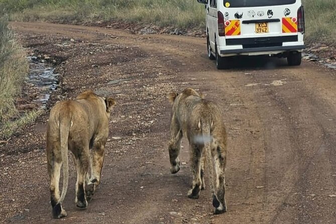 Maasai Mara Day Trip - The return to Nairobi