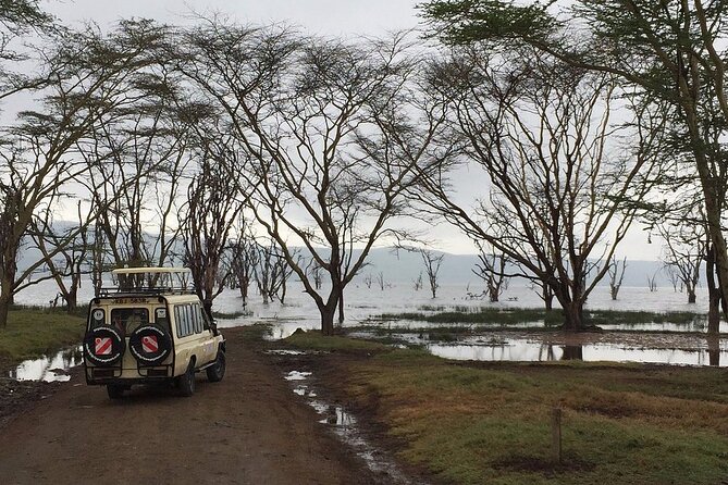 Maasai Mara Day Trip - Who should book this safari?