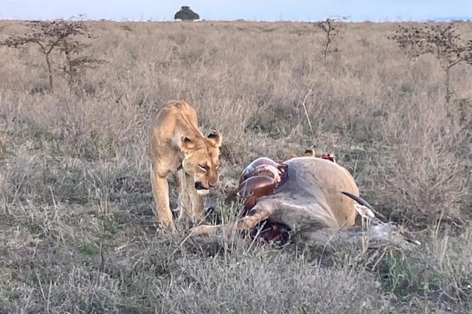 Maasai Mara Day Trip From Nairobi - The Great Rift Valley photo stop